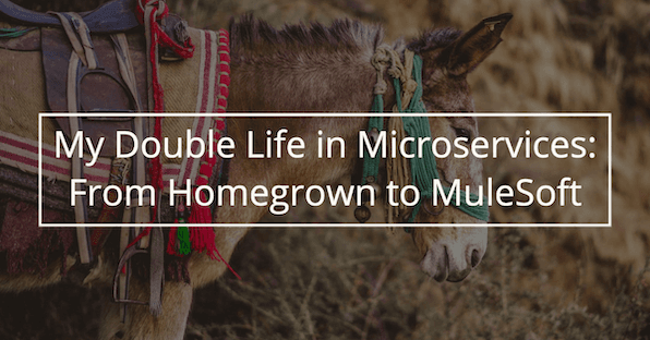 My Double Life in Microservices